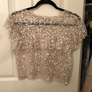 Zara Ruffle Sequin Top